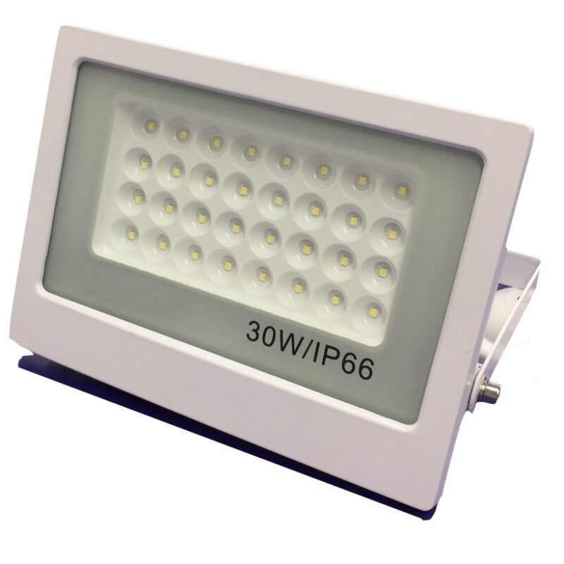 30W  New Star LED floodlight